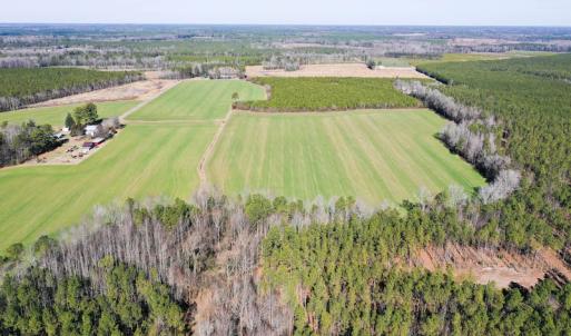 Photo #4 of SOLD property in Off Horse Pen Rd, Courtland, VA 81.8 acres