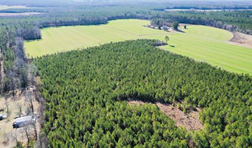 Photo #5 of SOLD property in Off Horse Pen Rd, Courtland, VA 81.8 acres
