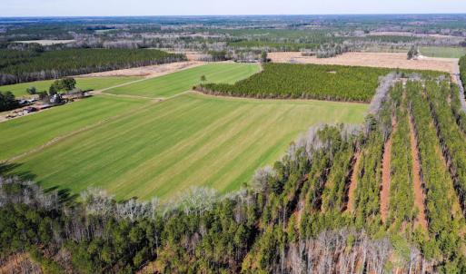 Photo #7 of SOLD property in Off Horse Pen Rd, Courtland, VA 81.8 acres