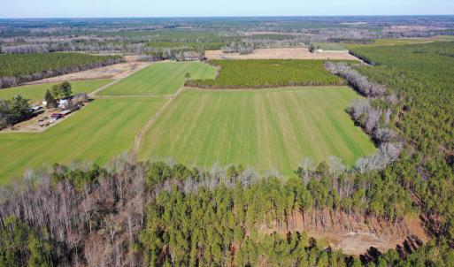 Photo #8 of SOLD property in Off Horse Pen Rd, Courtland, VA 81.8 acres