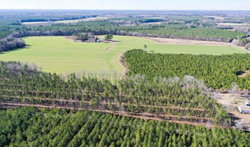 Photo #9 of SOLD property in Off Horse Pen Rd, Courtland, VA 81.8 acres