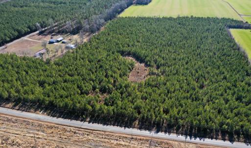 Photo #10 of SOLD property in Off Horse Pen Rd, Courtland, VA 81.8 acres