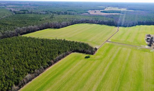 Photo #11 of SOLD property in Off Horse Pen Rd, Courtland, VA 81.8 acres
