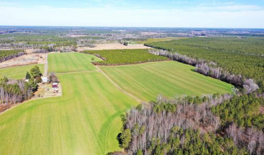 Photo #12 of SOLD property in Off Horse Pen Rd, Courtland, VA 81.8 acres