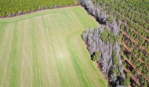 Photo #14 of SOLD property in Off Horse Pen Rd, Courtland, VA 81.8 acres