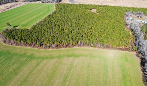 Photo #15 of SOLD property in Off Horse Pen Rd, Courtland, VA 81.8 acres