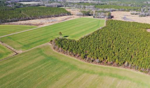 Photo #16 of SOLD property in Off Horse Pen Rd, Courtland, VA 81.8 acres