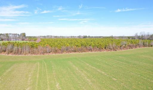 Photo #17 of SOLD property in Off Horse Pen Rd, Courtland, VA 81.8 acres