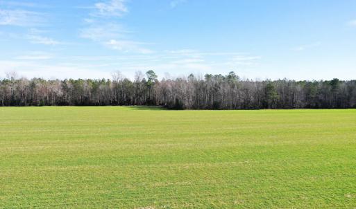 Photo #18 of SOLD property in Off Horse Pen Rd, Courtland, VA 81.8 acres