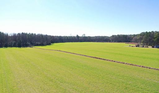 Photo #19 of SOLD property in Off Horse Pen Rd, Courtland, VA 81.8 acres