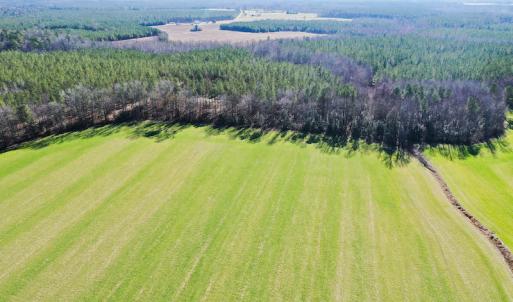 Photo #20 of SOLD property in Off Horse Pen Rd, Courtland, VA 81.8 acres