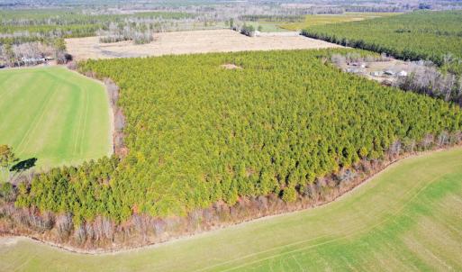 Photo #21 of SOLD property in Off Horse Pen Rd, Courtland, VA 81.8 acres