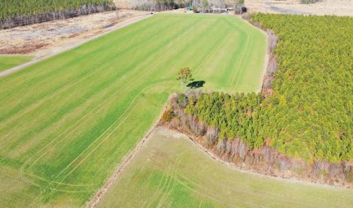 Photo #22 of SOLD property in Off Horse Pen Rd, Courtland, VA 81.8 acres