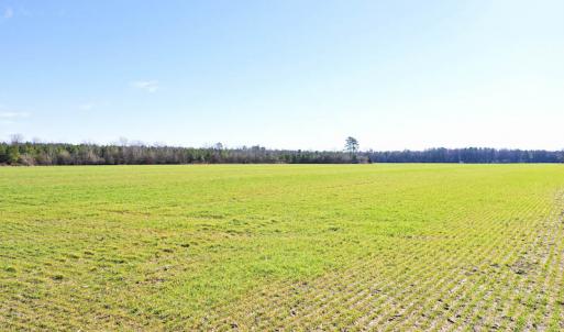 Photo #23 of SOLD property in Off Horse Pen Rd, Courtland, VA 81.8 acres