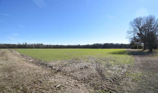Photo #24 of SOLD property in Off Horse Pen Rd, Courtland, VA 81.8 acres
