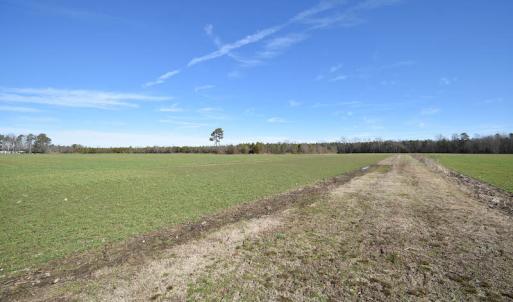 Photo #25 of SOLD property in Off Horse Pen Rd, Courtland, VA 81.8 acres