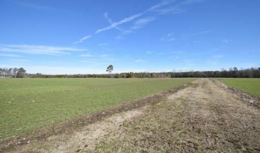 Photo #25 of SOLD property in Off Horse Pen Rd, Courtland, VA 81.8 acres