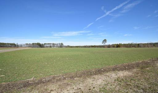 Photo #26 of SOLD property in Off Horse Pen Rd, Courtland, VA 81.8 acres