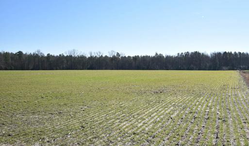 Photo #27 of SOLD property in Off Horse Pen Rd, Courtland, VA 81.8 acres