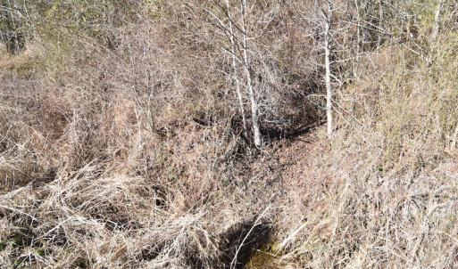 Photo #29 of SOLD property in Off Horse Pen Rd, Courtland, VA 81.8 acres