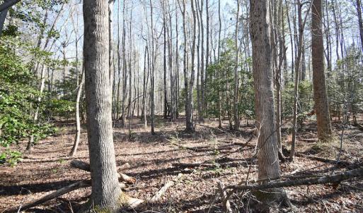Photo #30 of SOLD property in Off Horse Pen Rd, Courtland, VA 81.8 acres