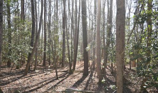 Photo #32 of SOLD property in Off Horse Pen Rd, Courtland, VA 81.8 acres