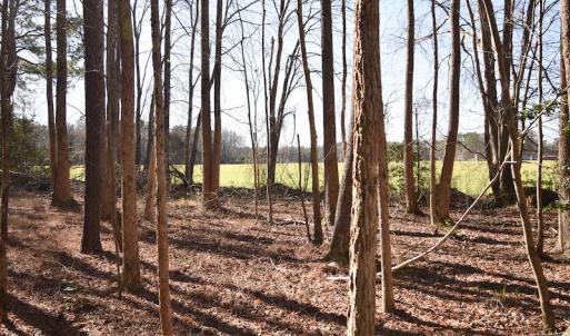 Photo #33 of SOLD property in Off Horse Pen Rd, Courtland, VA 81.8 acres