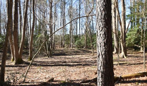 Photo #35 of SOLD property in Off Horse Pen Rd, Courtland, VA 81.8 acres