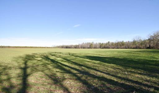 Photo #36 of SOLD property in Off Horse Pen Rd, Courtland, VA 81.8 acres