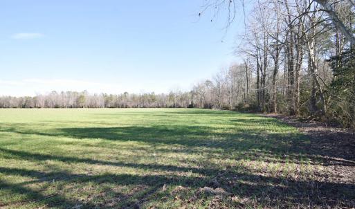 Photo #37 of SOLD property in Off Horse Pen Rd, Courtland, VA 81.8 acres