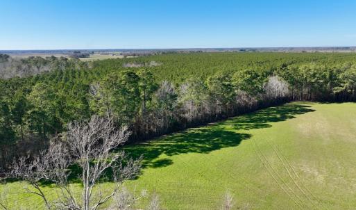 Photo #4 of SOLD property in 703 Sandy Ridge Road, Tyner, NC 0.6 acres