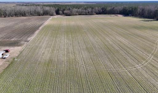 Photo #6 of SOLD property in 703 Sandy Ridge Road, Tyner, NC 0.6 acres