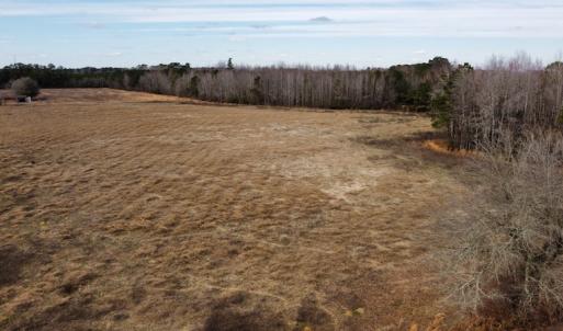 Photo #3 of Off Boggy Branch Rd, Nichols, SC 39.3 acres