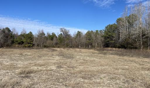 Photo #4 of Off Boggy Branch Rd, Nichols, SC 39.3 acres