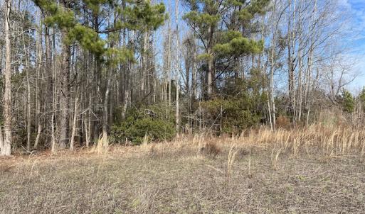 Photo #5 of Off Boggy Branch Rd, Nichols, SC 39.3 acres