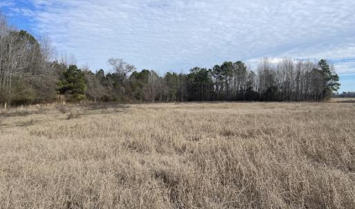 Photo #12 of Off Boggy Branch Rd, Nichols, SC 39.3 acres