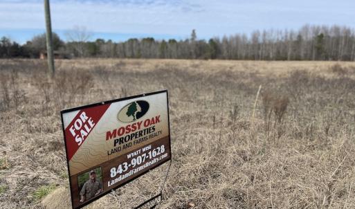 Photo #13 of Off Boggy Branch Rd, Nichols, SC 39.3 acres