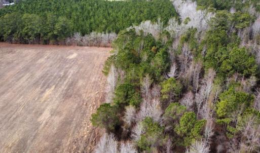 Photo #17 of Off Boggy Branch Rd, Nichols, SC 39.3 acres