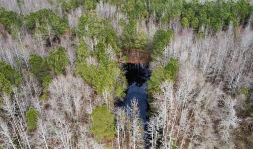 Photo #18 of Off Boggy Branch Rd, Nichols, SC 39.3 acres