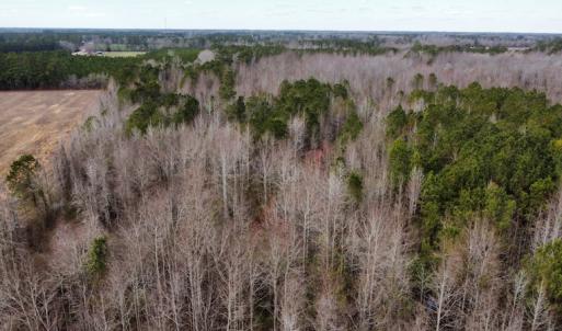 Photo #19 of Off Boggy Branch Rd, Nichols, SC 39.3 acres