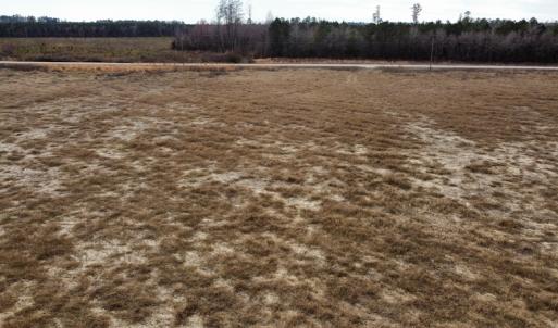 Photo #20 of Off Boggy Branch Rd, Nichols, SC 39.3 acres
