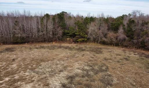 Photo #21 of Off Boggy Branch Rd, Nichols, SC 39.3 acres