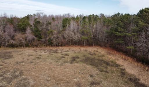 Photo #22 of Off Boggy Branch Rd, Nichols, SC 39.3 acres