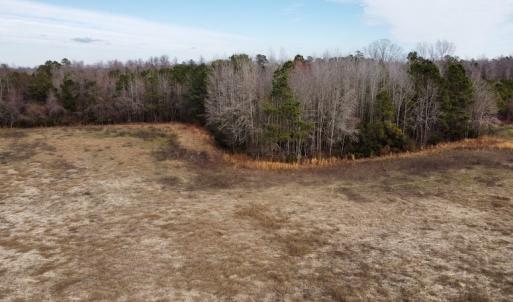 Photo #23 of Off Boggy Branch Rd, Nichols, SC 39.3 acres