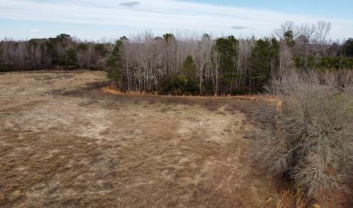 Photo #24 of Off Boggy Branch Rd, Nichols, SC 39.3 acres