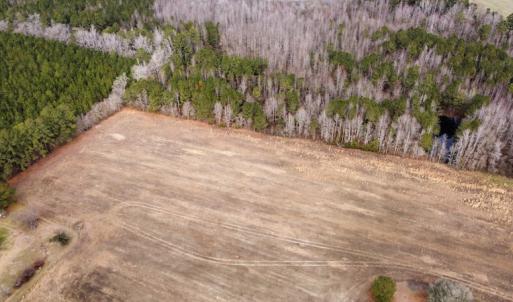 Photo #26 of Off Boggy Branch Rd, Nichols, SC 39.3 acres