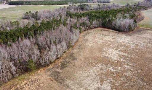 Photo #27 of Off Boggy Branch Rd, Nichols, SC 39.3 acres