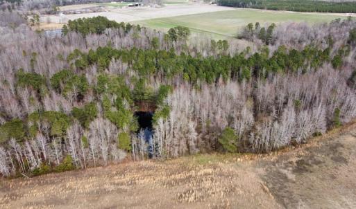 Photo #28 of Off Boggy Branch Rd, Nichols, SC 39.3 acres