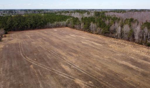 Photo #29 of Off Boggy Branch Rd, Nichols, SC 39.3 acres