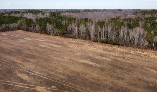 Photo #30 of Off Boggy Branch Rd, Nichols, SC 39.3 acres